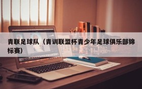 青联足球队（青训联盟杯青少年足球俱乐部锦标赛）