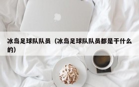 冰岛足球队队员(冰岛足球队队员都是干什么的)