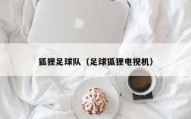 狐狸足球队(足球狐狸电视机)