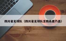 四川省足球队（四川省足球队主教练唐乃鑫）