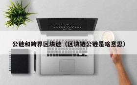 公链和跨界区块链(区块链公链是啥意思)