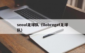 seoul足球队(llobregat足球队)