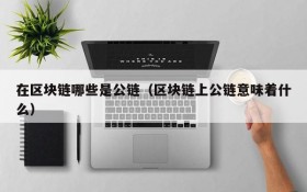 在区块链哪些是公链（区块链上公链意味着什么）