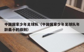 中国国家少年足球队（中国国家少年足球队年龄最小的级别）