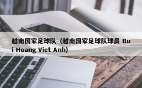 越南国家足球队(越南国家足球队球员 Bui Hoang Viet Anh)