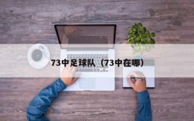 73中足球队（73中在哪）