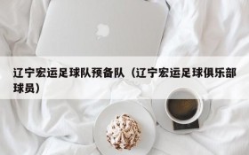 辽宁宏运足球队预备队(辽宁宏运足球俱乐部球员)
