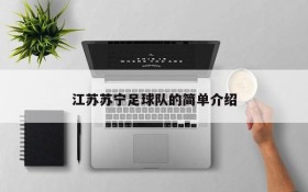 江苏苏宁足球队的简单介绍