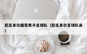 厄瓜多尔国家男子足球队（厄瓜多尔足球队员）