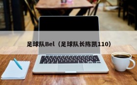 足球队Bel(足球队长陈凯110)