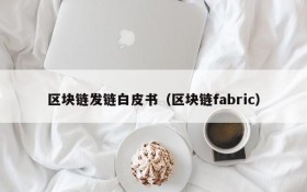 区块链发链白皮书(区块链fabric)