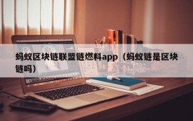 蚂蚁区块链联盟链燃料app(蚂蚁链是区块链吗)