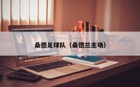 桑德足球队(桑德兰主场)