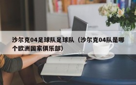 沙尔克04足球队足球队(沙尔克04队是哪个欧洲国家俱乐部)
