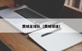 费城足球队(费城球迷)
