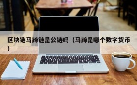 区块链马蹄链是公链吗(马蹄是哪个数字货币)