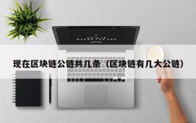 现在区块链公链共几条(区块链有几大公链)
