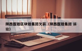 陕西医链区块链集团欠薪(陕西医链集团 诉讼)
