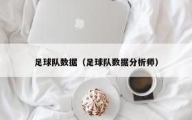 足球队数据(足球队数据分析师)