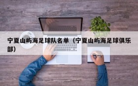 宁夏山屿海足球队名单(宁夏山屿海足球俱乐部)