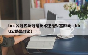 bnc公链区块链是技术还是财富游戏(bhu公链是什么)