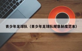 青少年足球队(青少年足球队规章制度范本)