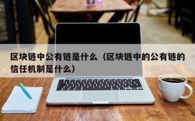 区块链中公有链是什么(区块链中的公有链的信任机制是什么)