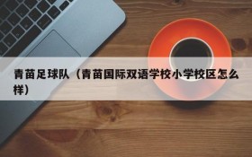 青苗足球队(青苗国际双语学校小学校区怎么样)