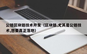 公链区块链技术开发(区块链,尤其是公链技术,想要真正落地)