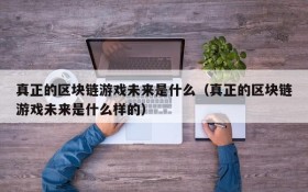 真正的区块链游戏未来是什么(真正的区块链游戏未来是什么样的)