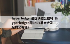 hyperledger是区块链公链吗(hyperledger是linux基金会发起的公有链)