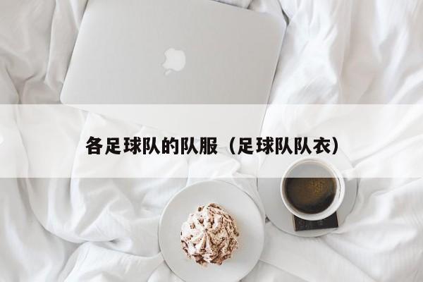 各足球队的队服（足球队队衣）