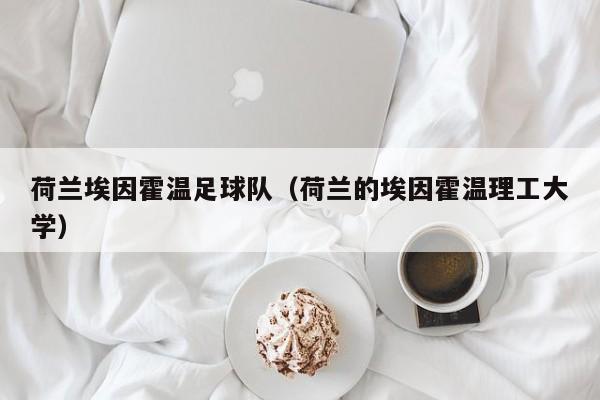 荷兰埃因霍温足球队（荷兰的埃因霍温理工大学）
