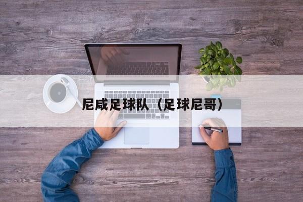 尼咸足球队（足球尼哥）