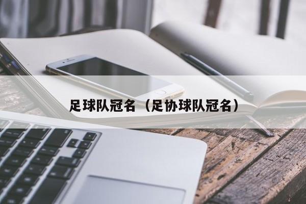 足球队冠名（足协球队冠名）