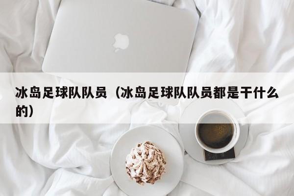 冰岛足球队队员（冰岛足球队队员都是干什么的）