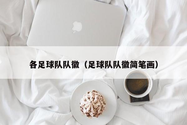 各足球队队徽（足球队队徽简笔画）