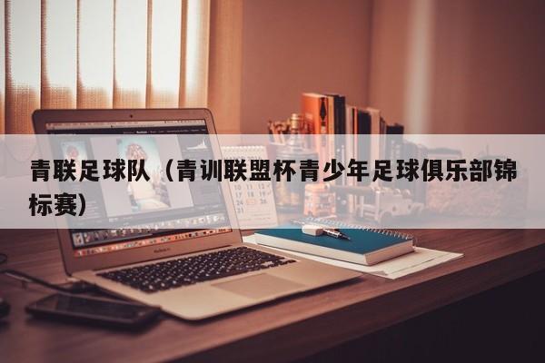 青联足球队（青训联盟杯青少年足球俱乐部锦标赛）