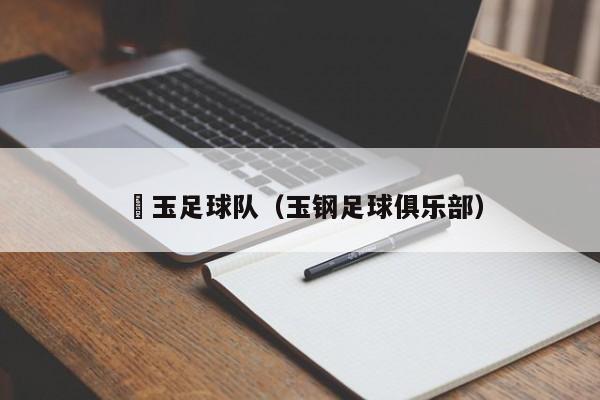 埼玉足球队（玉钢足球俱乐部）