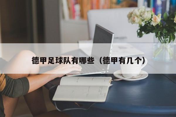 德甲足球队有哪些（德甲有几个）