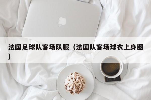 法国足球队客场队服（法国队客场球衣上身图）