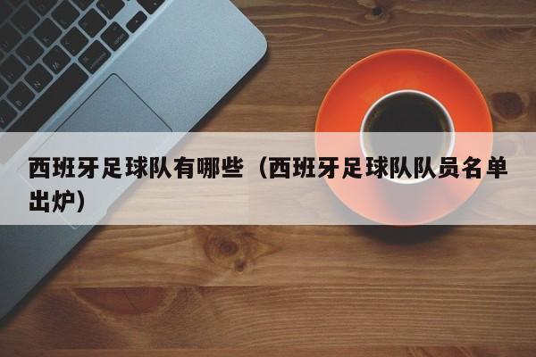 西班牙足球队有哪些（西班牙足球队队员名单出炉）