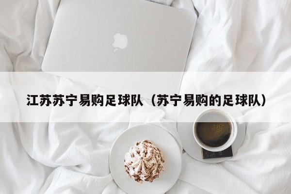 江苏苏宁易购足球队（苏宁易购的足球队）