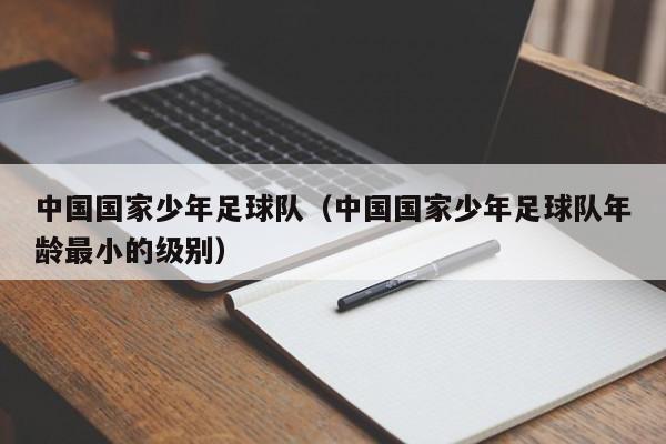 中国国家少年足球队（中国国家少年足球队年龄最小的级别）