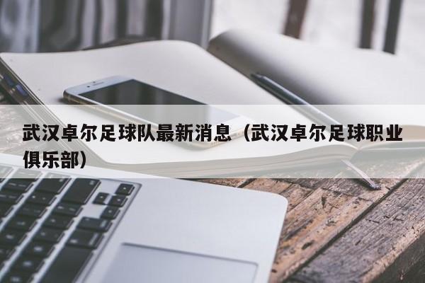 武汉卓尔足球队最新消息（武汉卓尔足球职业俱乐部）