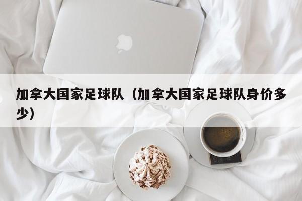 加拿大国家足球队（加拿大国家足球队身价多少）