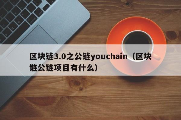 区块链3.0之公链youchain（区块链公链项目有什么）