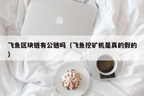 飞鱼区块链有公链吗（飞鱼挖矿机是真的假的）
