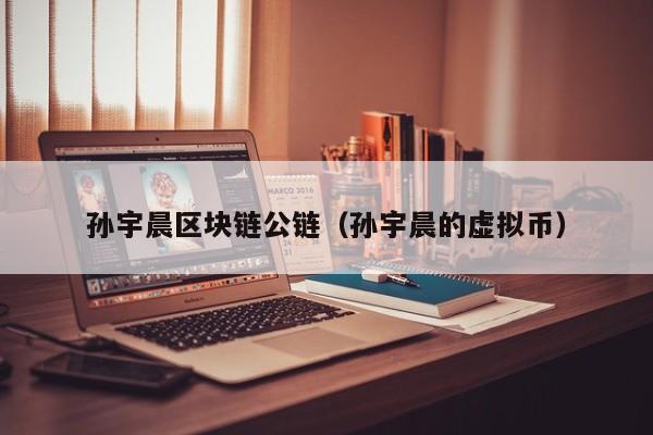 孙宇晨区块链公链（孙宇晨的虚拟币）