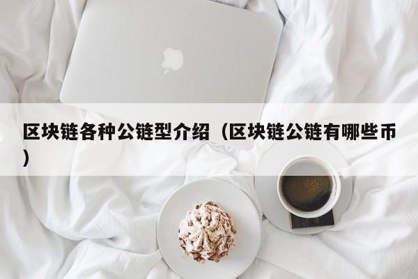 区块链各种公链型介绍（区块链公链有哪些币）